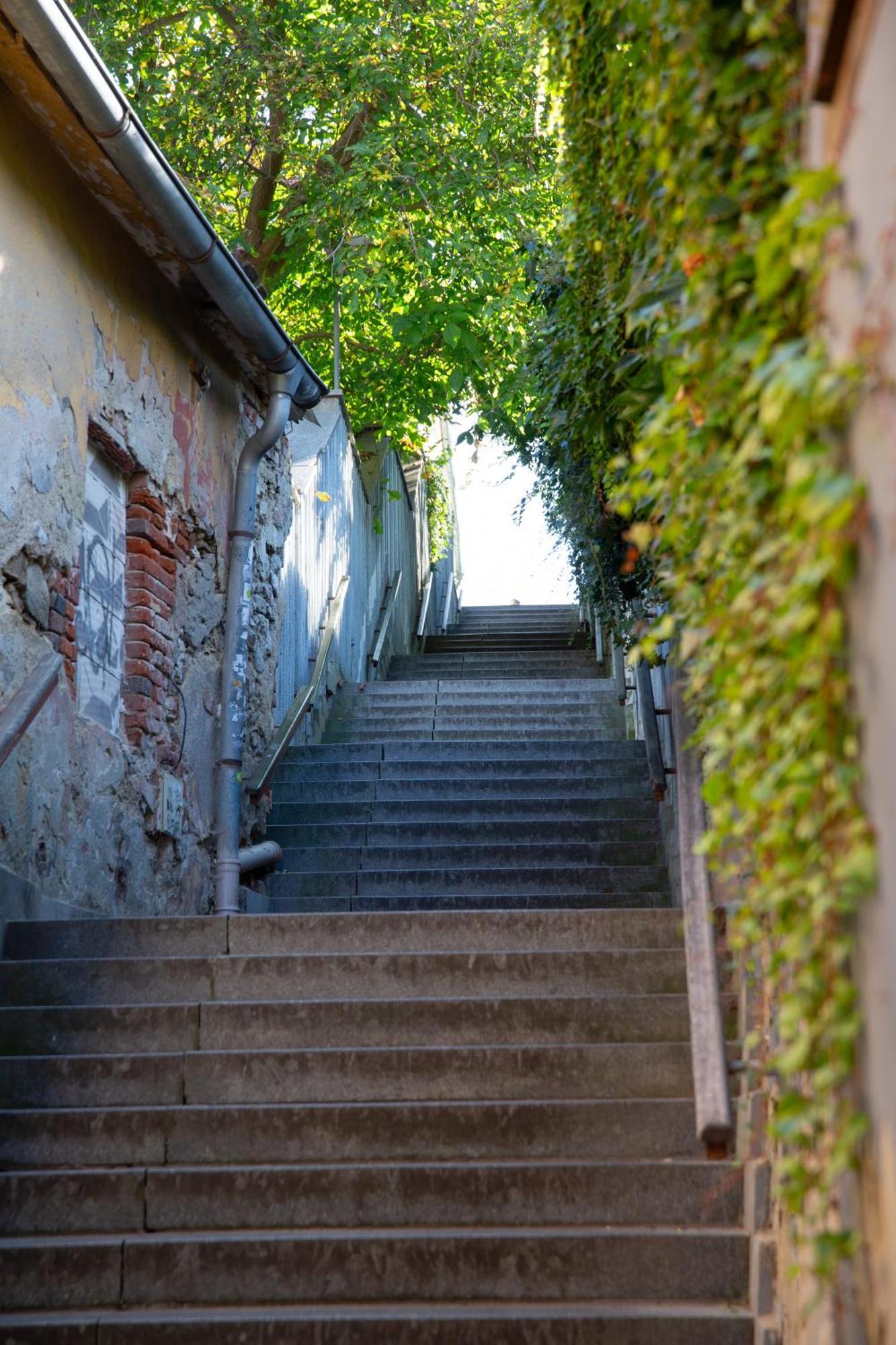 Rezidence Plesivec - Rodinny Apartman S 3 Loznicemi Český Krumlov Eksteriør bilde